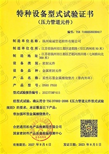特種設(shè)備型式試驗證書